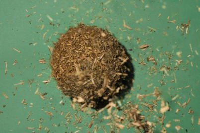 Biobased materialen