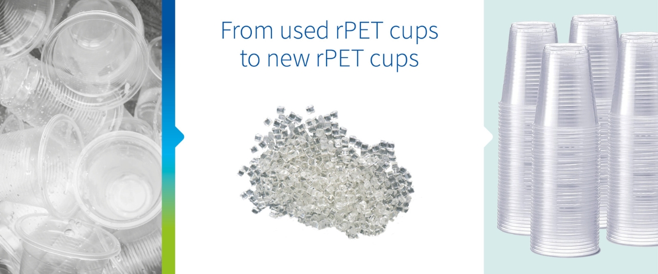W2P_(r)PET
