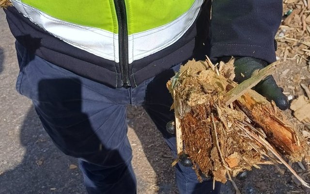 Renewi en Torrgreen testen nieuwe route van afvalhout naar hernieuwbare brandstoffen en chemie