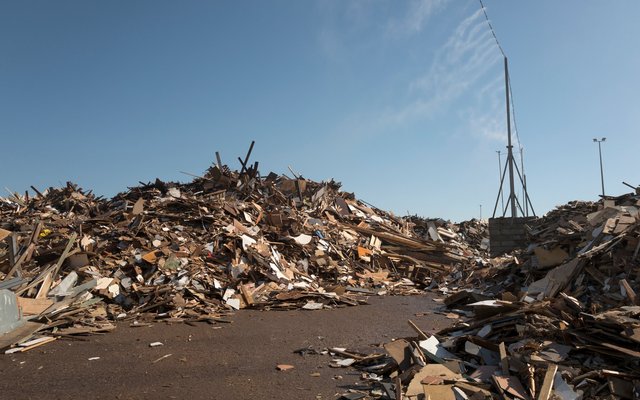 Renewi en Torrgreen testen nieuwe route van afvalhout naar hernieuwbare brandstoffen en chemie